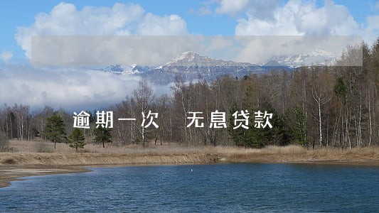 逾期一次 无息贷款 逾期一次 无息贷款